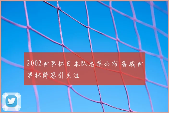 2002世界杯日本队名单公布 备战世界杯阵容引关注