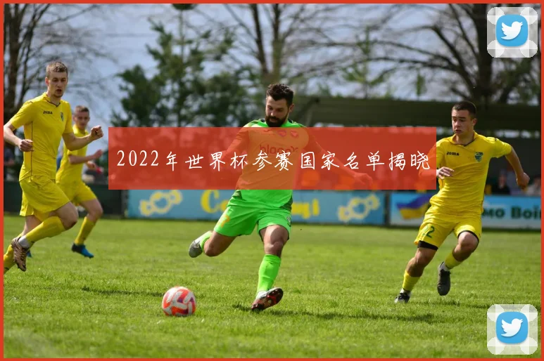 2022年世界杯参赛国家名单揭晓