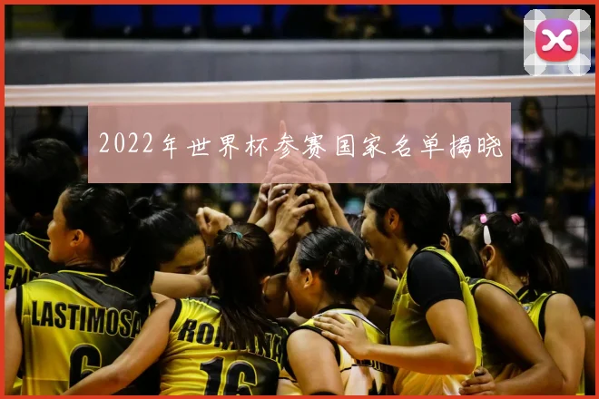 2022年世界杯参赛国家名单揭晓
