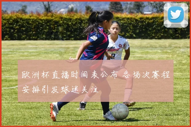 欧洲杯直播时间表公布 各场次赛程安排引发球迷关注