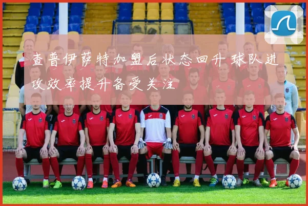 查普伊萨特加盟后状态回升 球队进攻效率提升备受关注