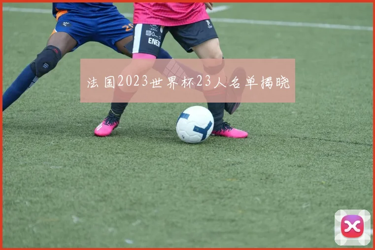 法国2023世界杯23人名单揭晓