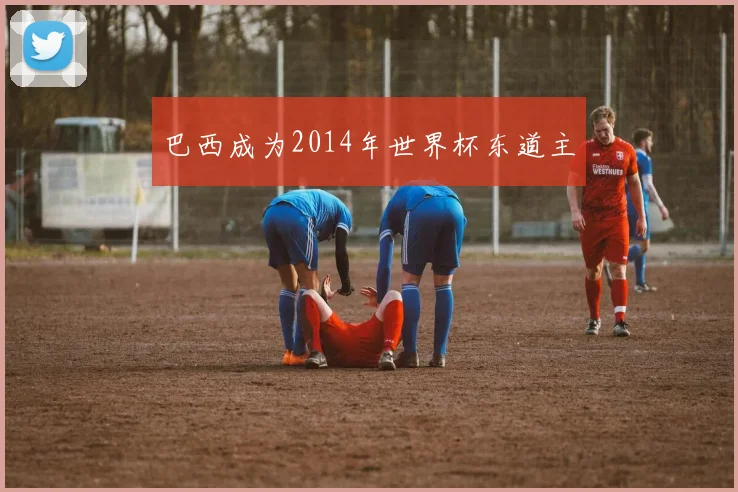 巴西成为2014年世界杯东道主