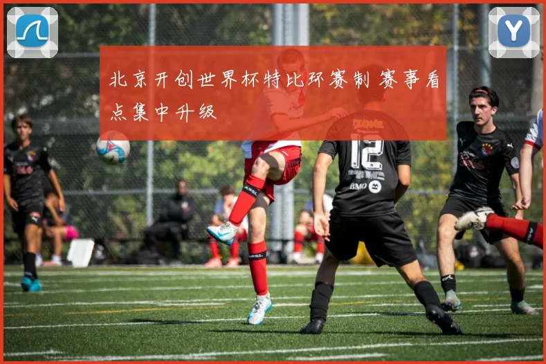 北京开创世界杯特比环赛制 赛事看点集中升级