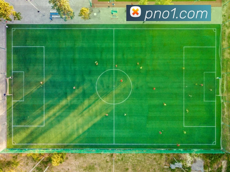 体育365-beat365服务体系